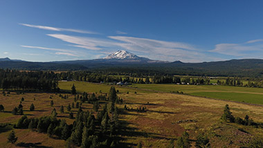 Mt Adams from Trout Lake