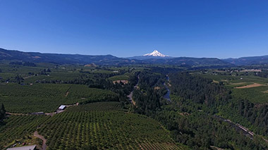 Mt. Hood from the east side